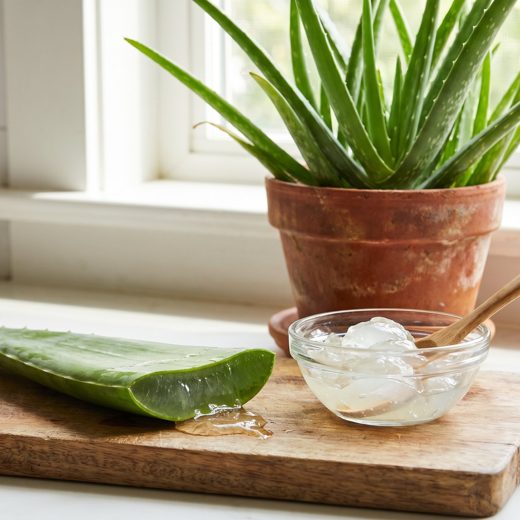 Fresh aloe vera
